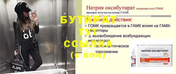 индика Каменногорск