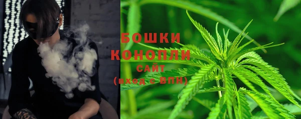 соль ск Алзамай