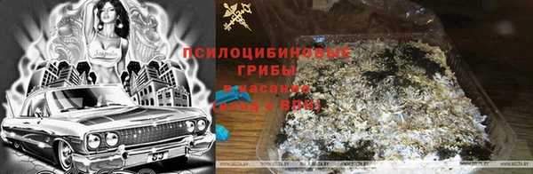 соль ск Алзамай