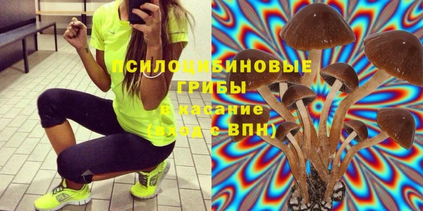бошки Алексеевка