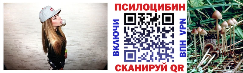 Псилоцибиновые грибы Psilocybe блэк спрут как зайти Елабуга